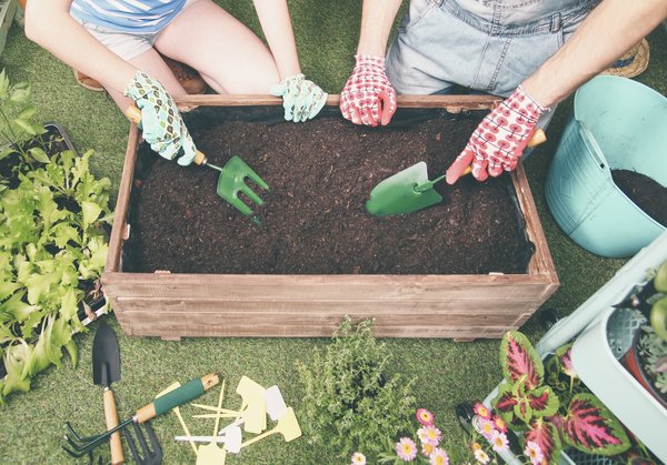 Jardinage urbain : cultivez vos légumes sans jardin grâce aux bacs potagers !