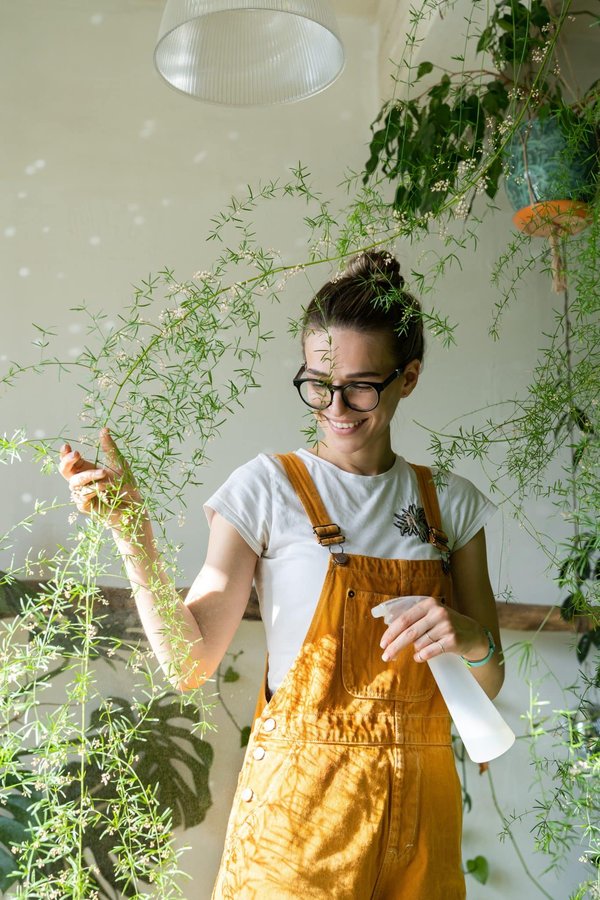 Protégez la charpente de votre maison avec un traitement pour insecte des bois