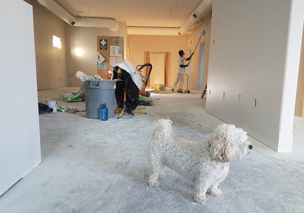 Quel budget prévoir pour rénover une maison ?