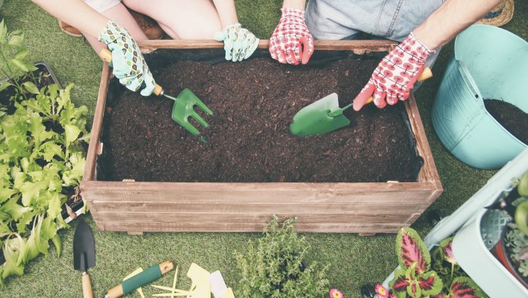 Comment choisir et utiliser des bacs potagers ?
