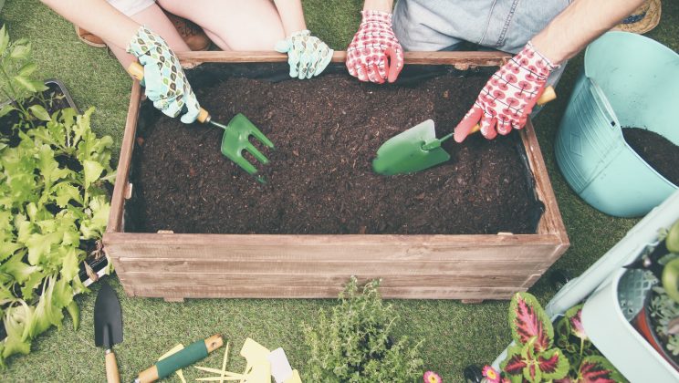 Jardinage urbain : cultivez vos légumes sans jardin grâce aux bacs potagers !