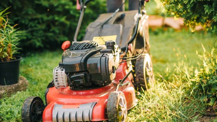 Comment choisir la lame de tondeuse adaptée à votre gazon ?